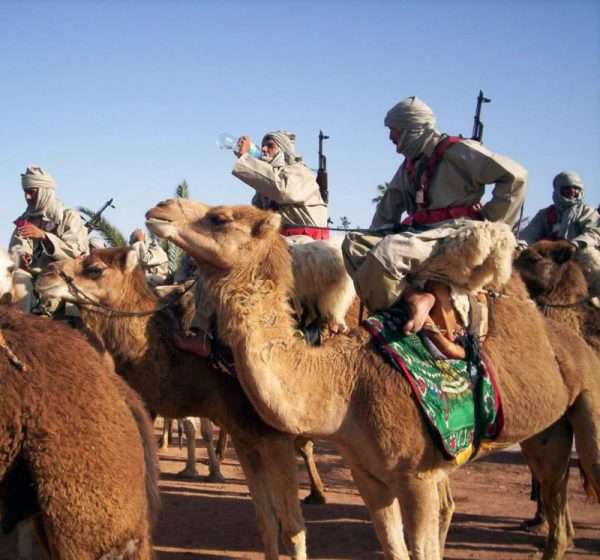 Вооружённые берберы на верблюдах