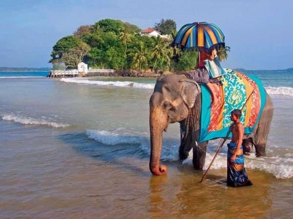 Слон с погонщиком на фоне небольшого острова