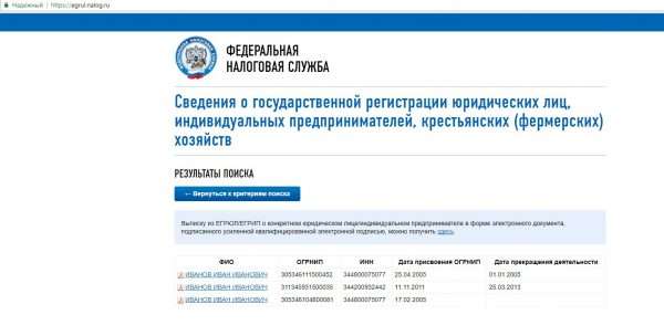 Страница сайта ФНС РФ с результатами поиска ИП